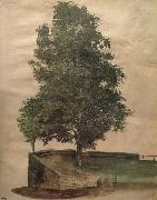 Albrecht Durer Linden Tree on a Bastion Spain oil painting artist